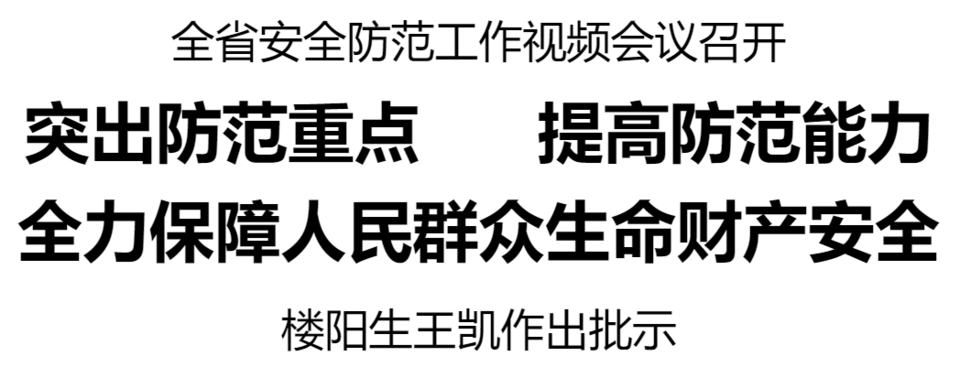 河南省安全防范工作视频会议召开