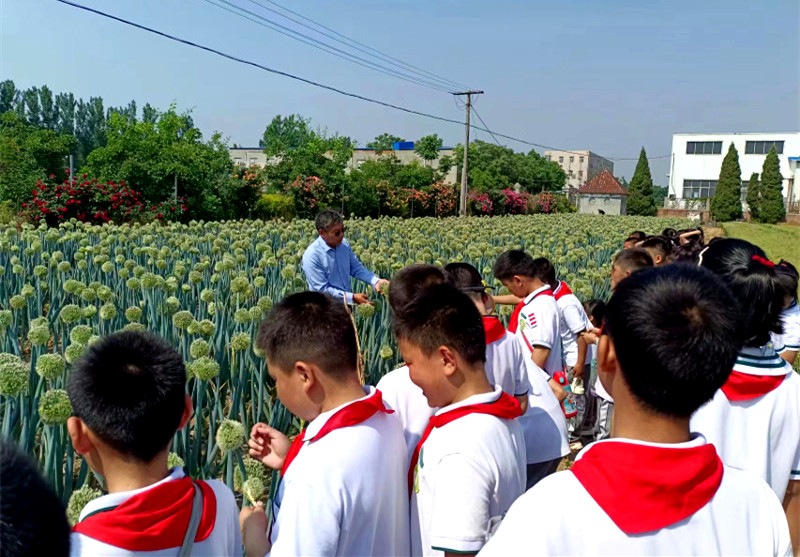 厚植农科兴趣 播种未来希望——新乡市农业科学院组织学生开展科普研学活动