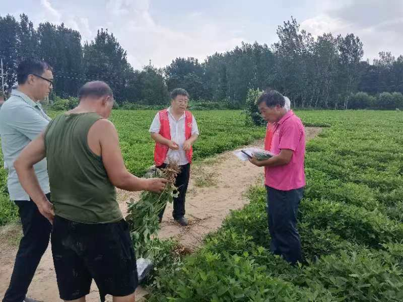 濮阳市农林科学院组织科技特派员指导秋作物管理