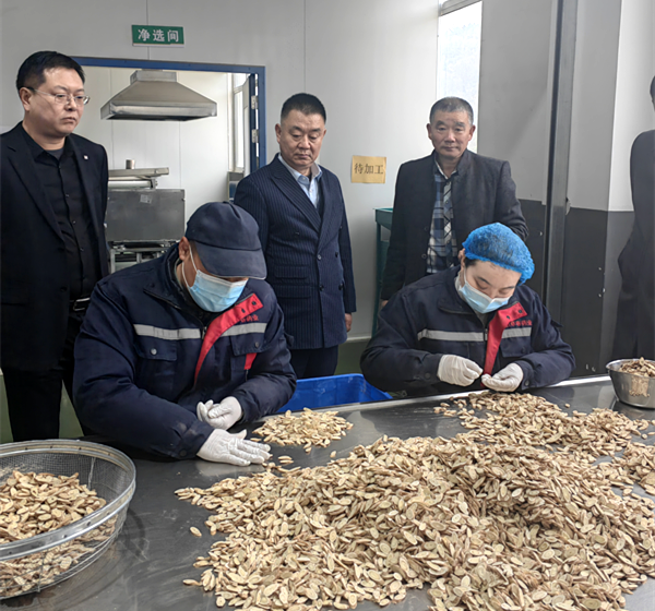 领跑再生医学产业化赛道，郑大再生医学研究院完成500万元天使轮融资