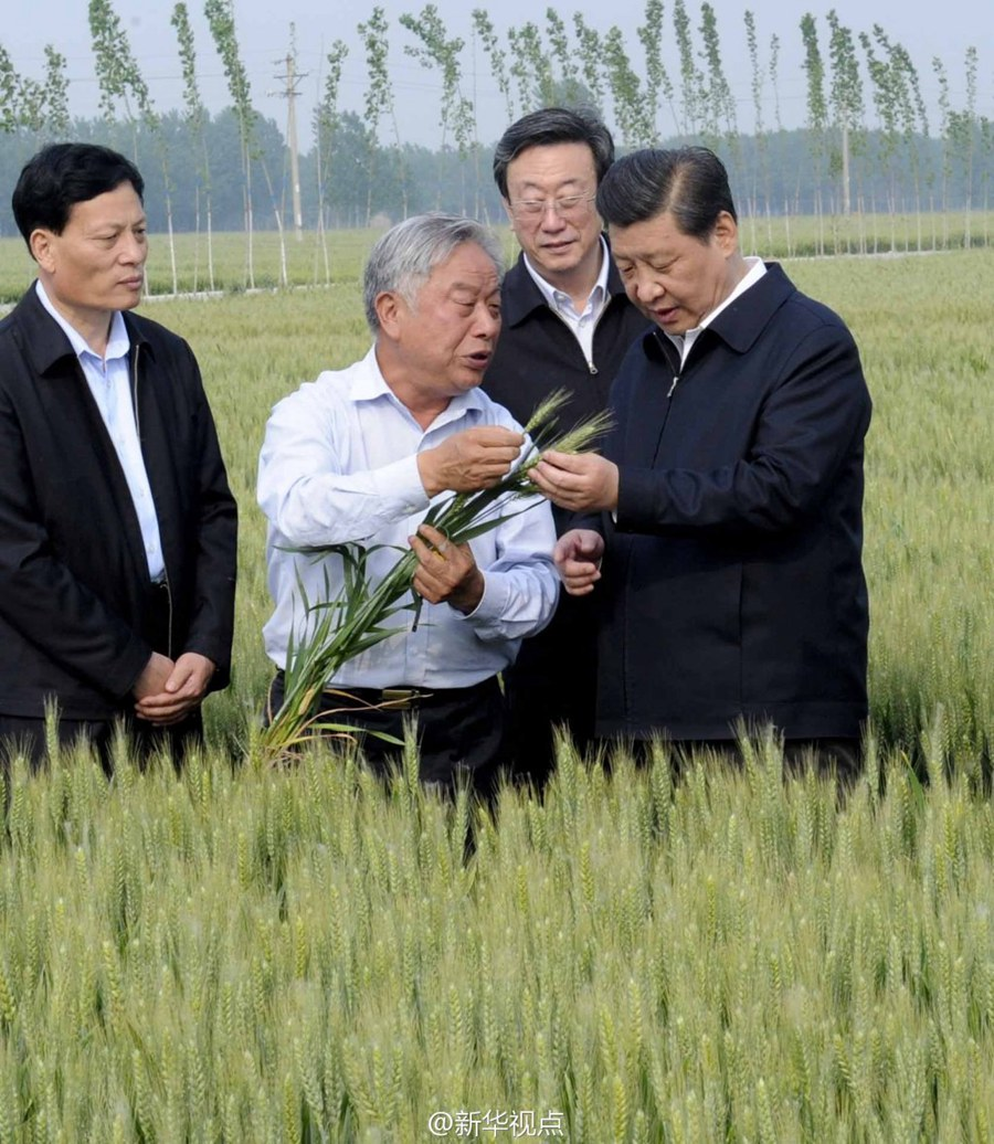 习近平总书记和河南的故事