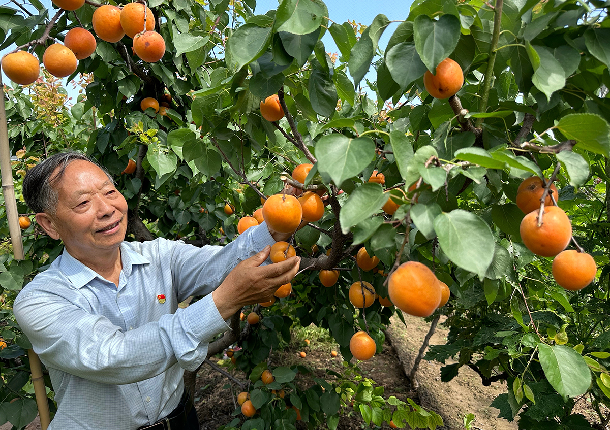 致敬“最美科技工作者”丨张庆连：一棵树与350万字的生命对话