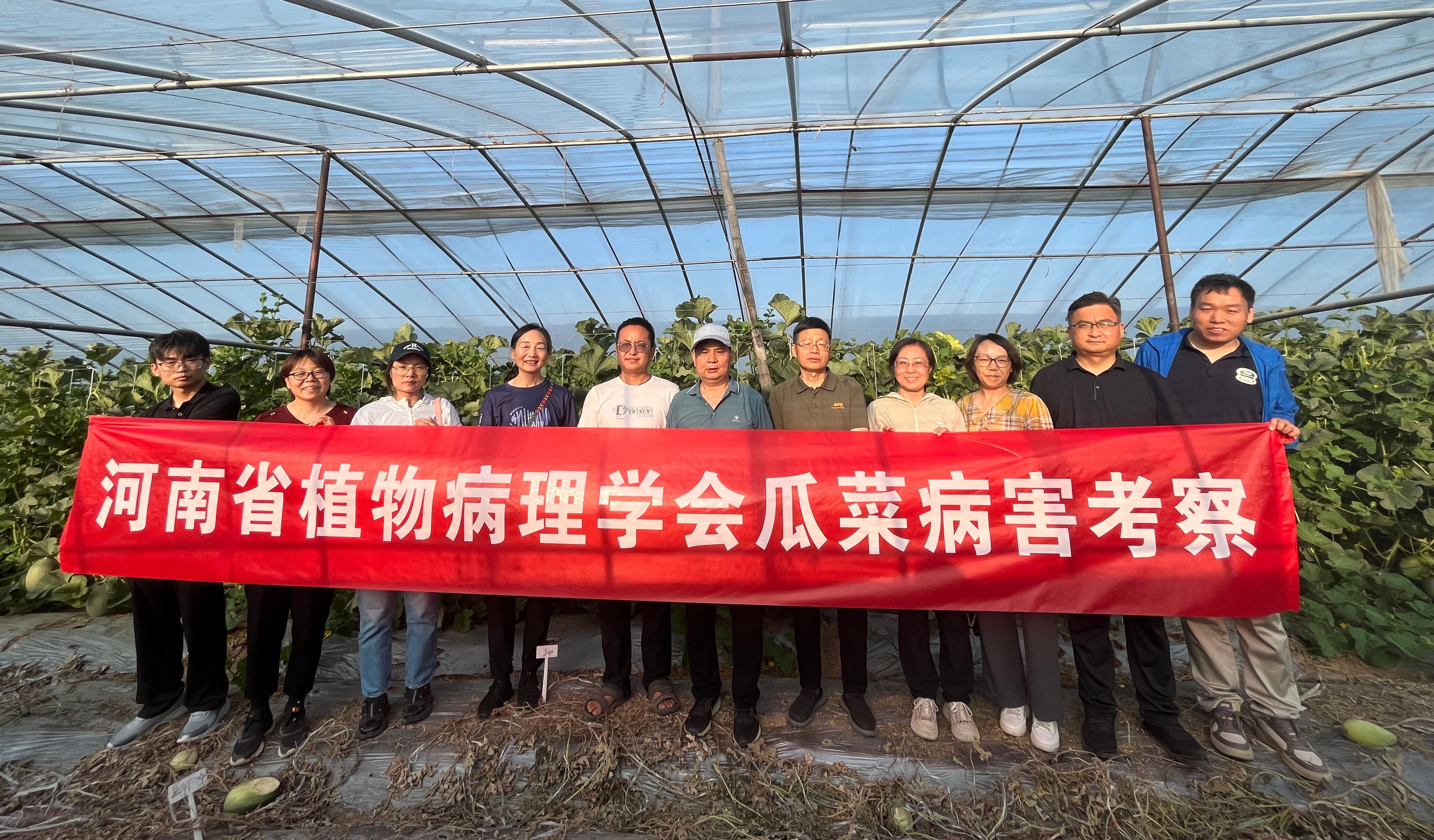 河南省植物病理学会组织开展瓜菜病害田间考察活动