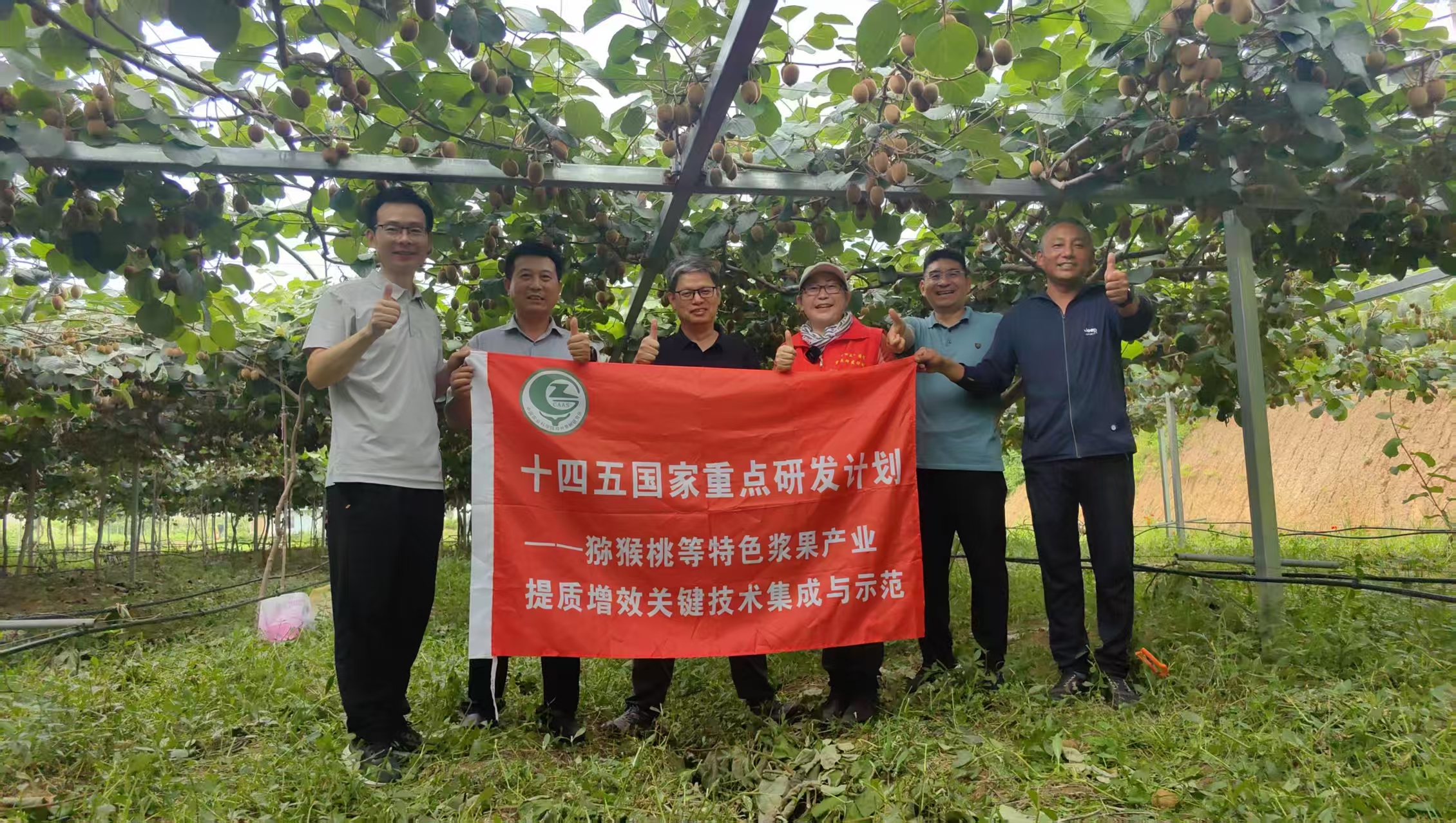 大别山区来专家 科技甘霖润果园