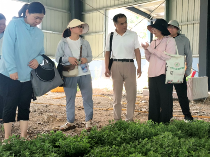 科技服务到田间 送苗解难促发展——“科创中原”菊花产业科技服务团开展下乡技术服务