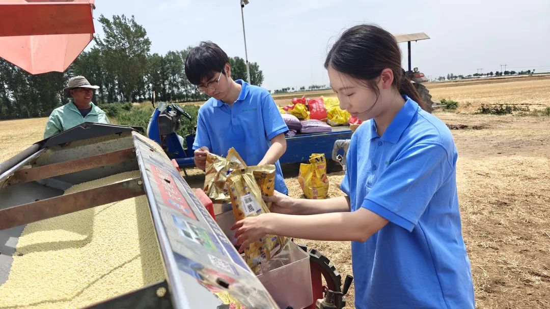河南农业大学：在田间地头锻造振兴脊梁