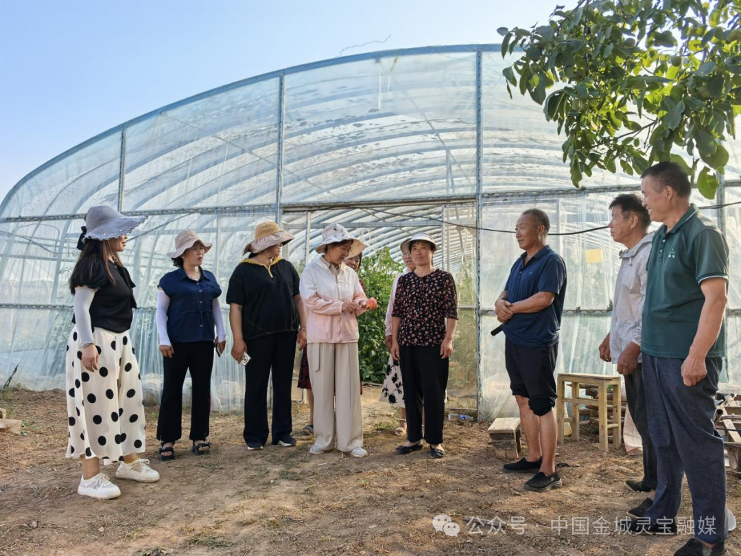 灵宝市“农民夜校”点亮蔬菜种植技术学习“新课堂”