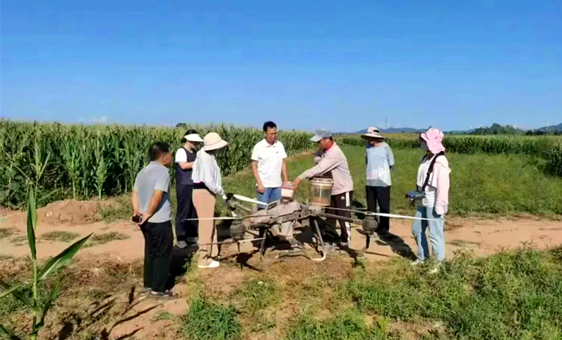 三门峡陕州区首席科普专家指导实施“一喷多促”技术 护航秋粮生产