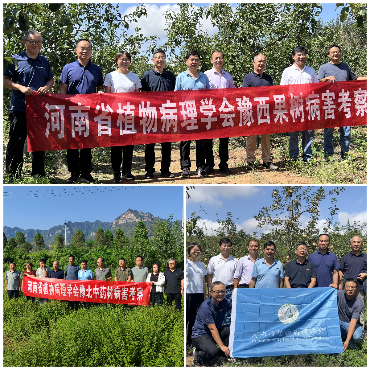 河南省植物病理学会组织专家开展果树中药材病害考察与科技服务活动
