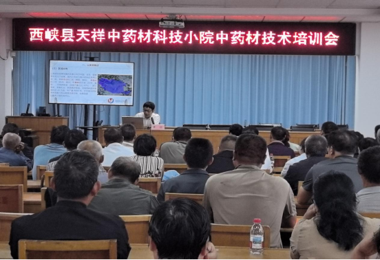 科技赋能送技下乡 科技小院为西峡县中药材产业振兴注入“智”动力