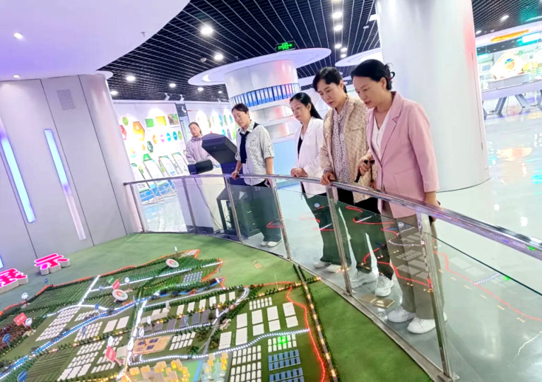 安阳市科协主席张歌深入内黄调研