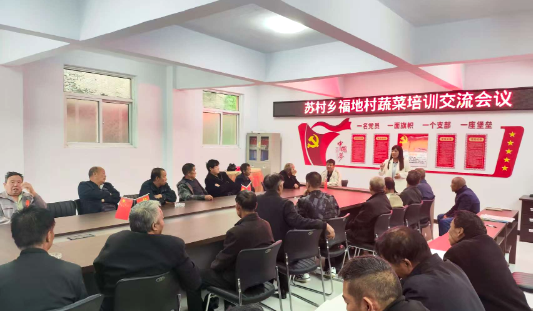 雨天培训忙 “菜路”更通畅，灵宝市科协联合苏村乡开展蔬菜生产培训交流会