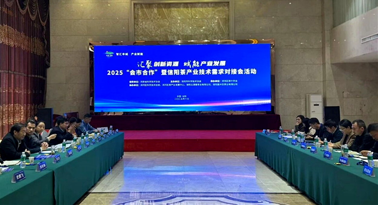 茶香漫溢话创新 2025“会市合作”暨信阳茶产业技术需求对接活动举行