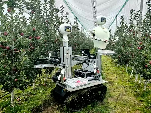 全球首台“双胞胎”苹果采摘机器人亮相