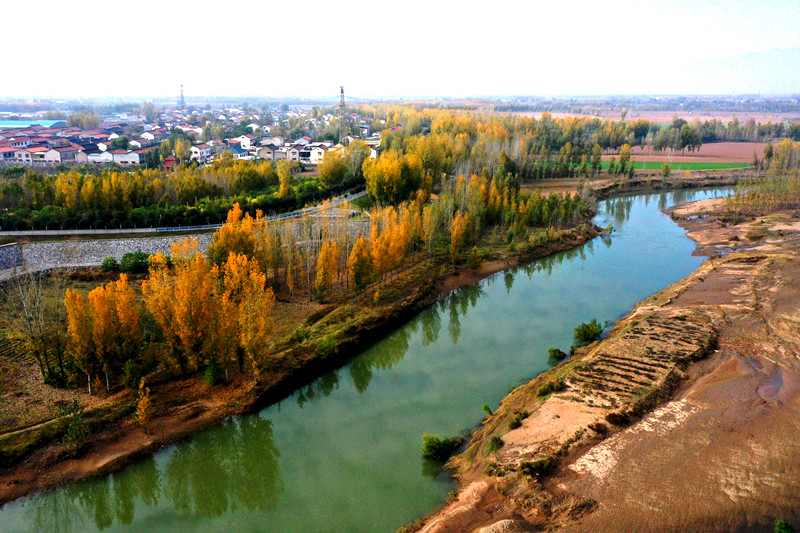 沁阳沁河冬景如画