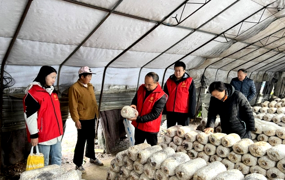 三门峡市农科院开展“菌业科普行 助力乡村振兴”进基层科技志愿服务活动