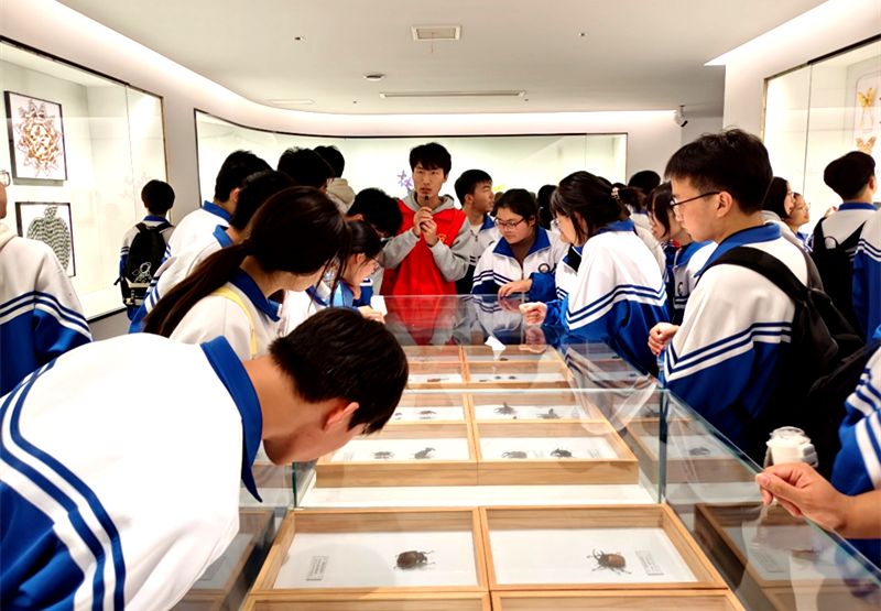 首席科普专家杨英军工作室开展“探昆虫奥秘 享科普之趣”主题公益研学活动