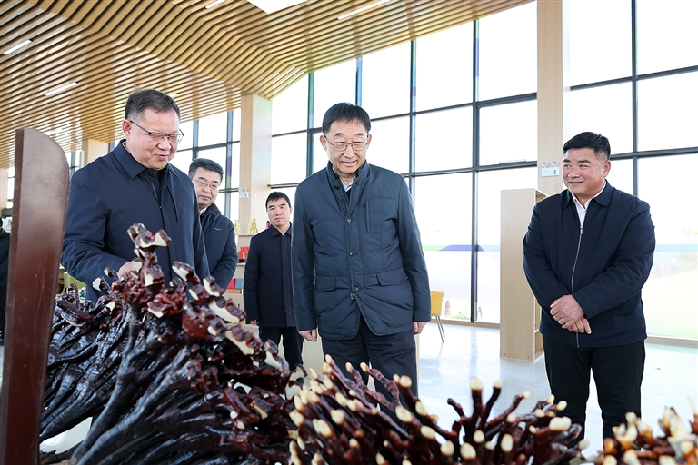 刘宁到三门峡义马和洛阳洛宁栾川嵩县调研推动工作时强调 提高生态环境治理能力水平 让群众获得更多普惠性民生福祉