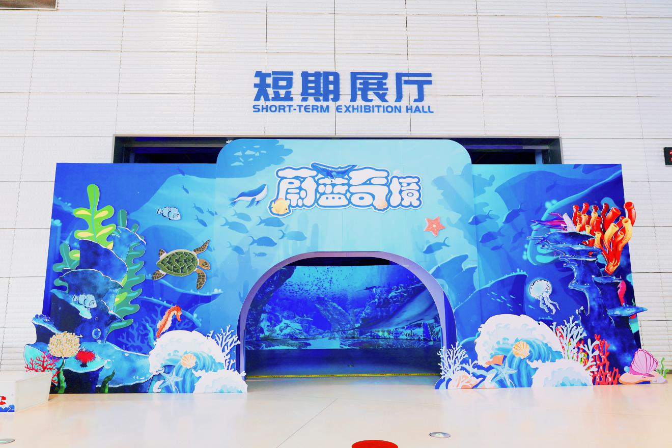 沉浸式探秘海洋，河南省科技馆最新临展「蔚蓝奇境」上线了！