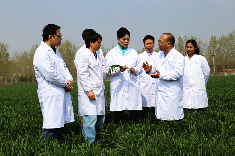 三校跨界破壁垒 科教融汇育新人 ——豫粤高校跨学科协同育人的创新实践