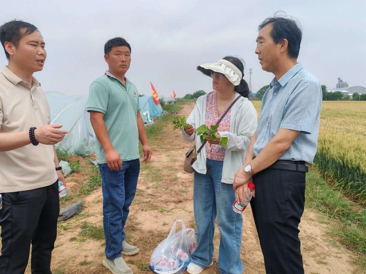 科技赋能乡村振兴——禹州市科协开展特色农业科技服务活动