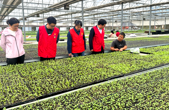 农技下乡润田间 科普惠民助振兴——中牟新区开展农技下乡系列科普服务活动