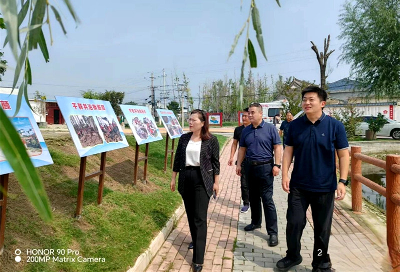 以规划为笔 绘就仙台镇和美乡村新画卷——平顶山科协、叶县科协联合仙台镇举办专题讲座