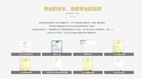&quot;一路向北:从二郎山麓到全国市场的芙思塔鱼子酱&quot;