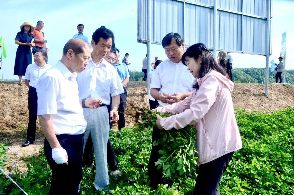 河南省花生良种联合攻关暨产学研用融合发展研讨会在尉氏举行