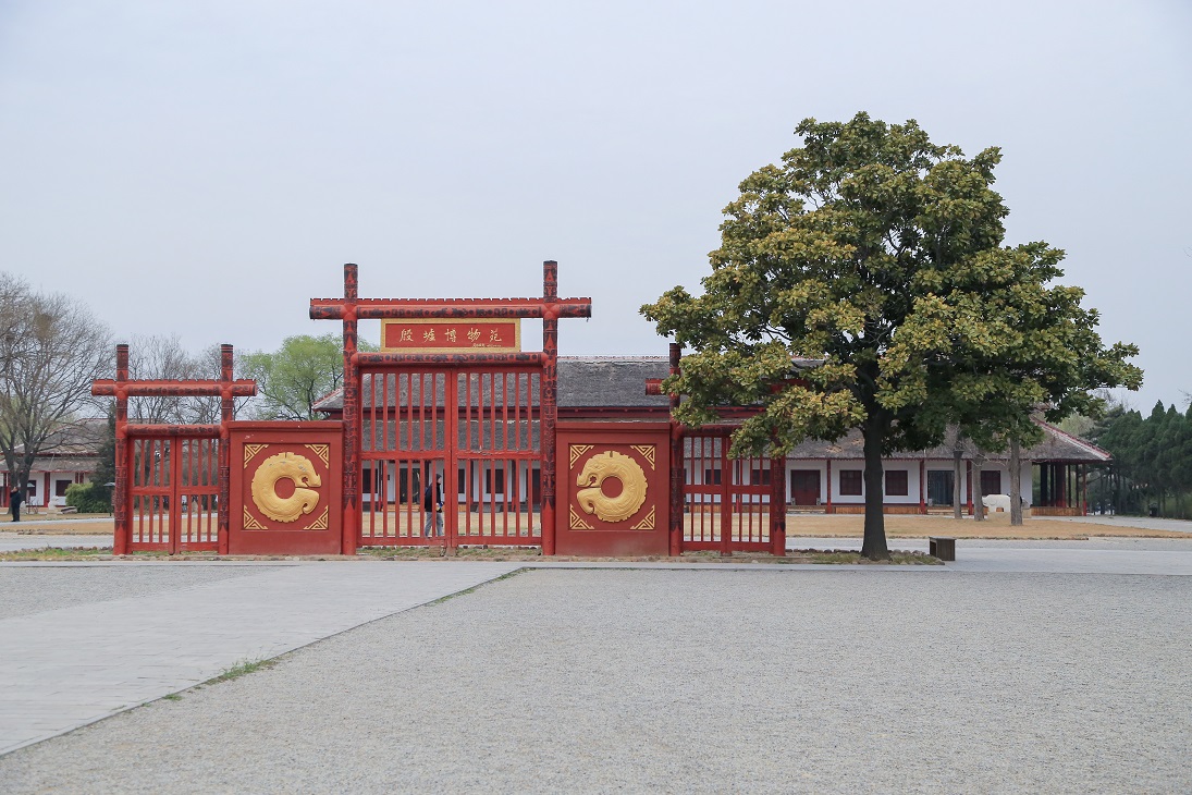 深耕冷门“绝学” 坚持有“道”