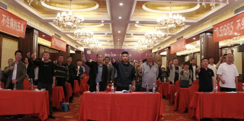 种植户为什么点名要种机玉665