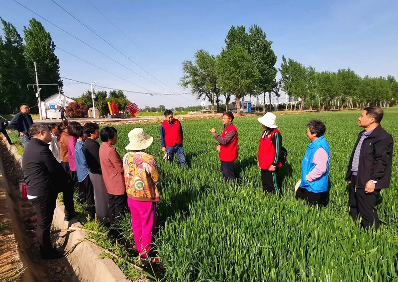 安阳市科协关工委、老干部志愿服务总团深入汤阴县开展科技助农活动