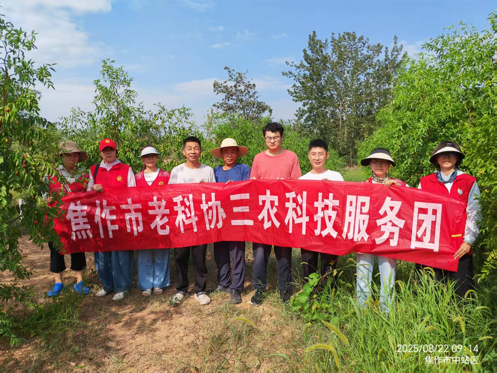 焦作市老科协三农科技服务团助力枣农提质增收
