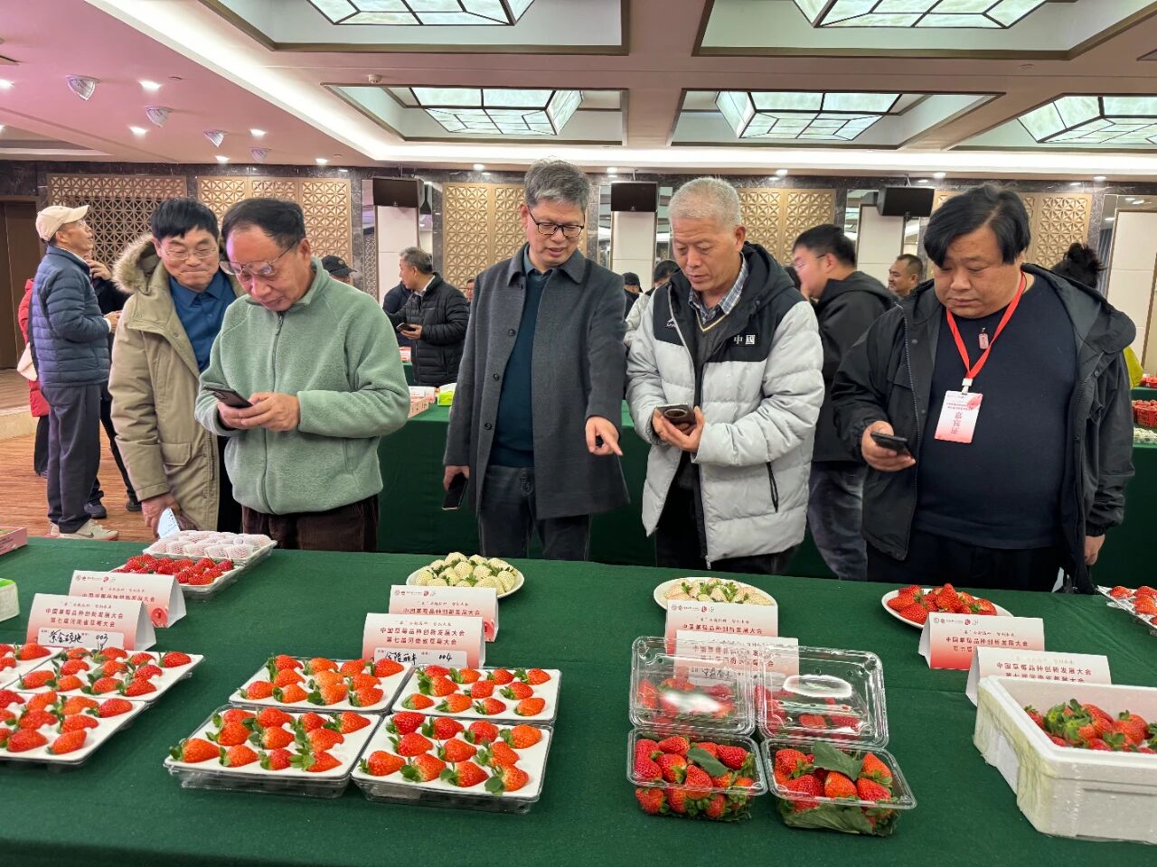 中国草莓品种创新发展大会暨第七届河南省草莓大会在郑举行