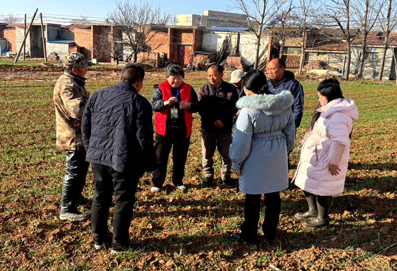 科技赋能田间地头 志愿服务助力乡村振兴 ——三门峡市科协科技志愿服务队深入渑池县开展农业技术推广活动