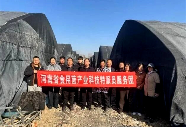 河南省科技特派员深入食用菌生产一线解难题