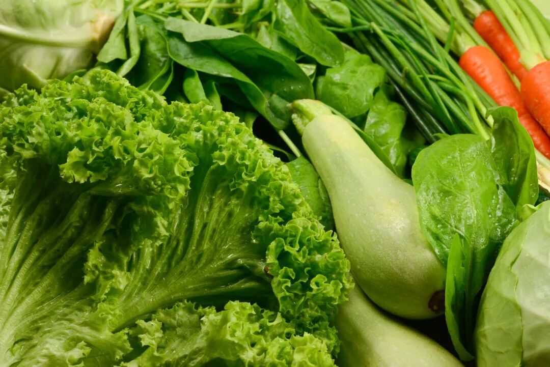 蔬菜叶子比根茎更有营养， 所以应该只吃叶子？