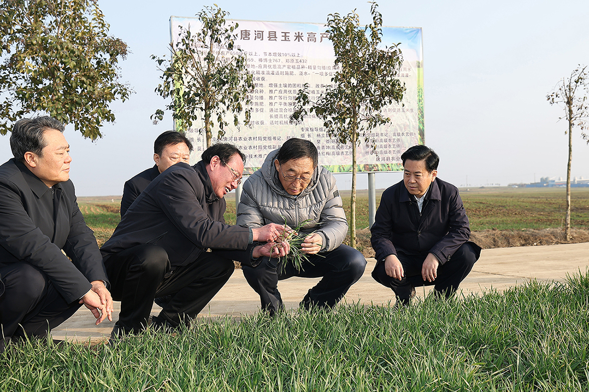 刘宁到南阳市新野唐河桐柏调研推动工作时强调 抓好粮食生产 培育特色产业 扎实推进县域经济高质量发展