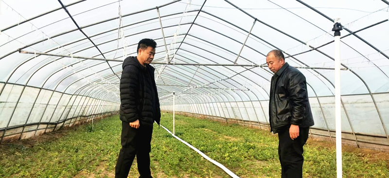 河南省农科院蜜瓜产业科技特派员服务团赴兰考县指导蜜瓜生产