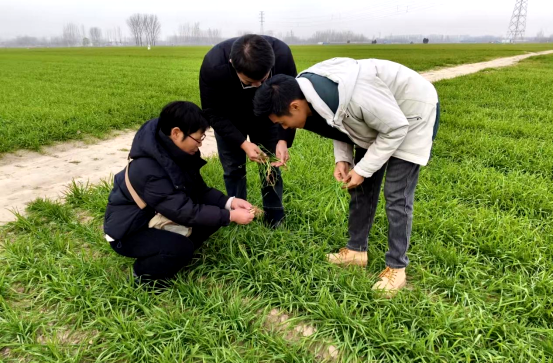 尉氏县科协开展科技志愿服务活动 赋能基层科普提质增效