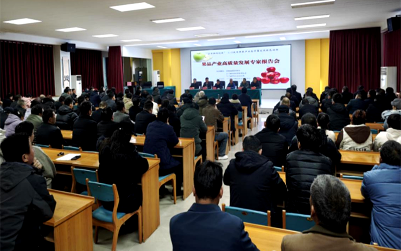 科技赋能果业振兴 专家把脉精准指导 ——三门峡市举办果品产业高质量发展专家报告会与基层技术服务