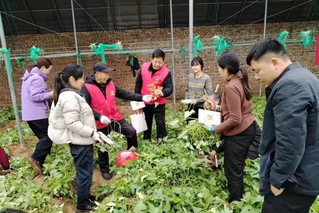 兰考县科协、杞县科协开展“学雷锋 助春耕”科技志愿服务活动