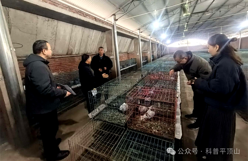 科普大篷车赋能乡村养殖——平顶山市科协联合开展学雷锋主题科普志愿服务活动