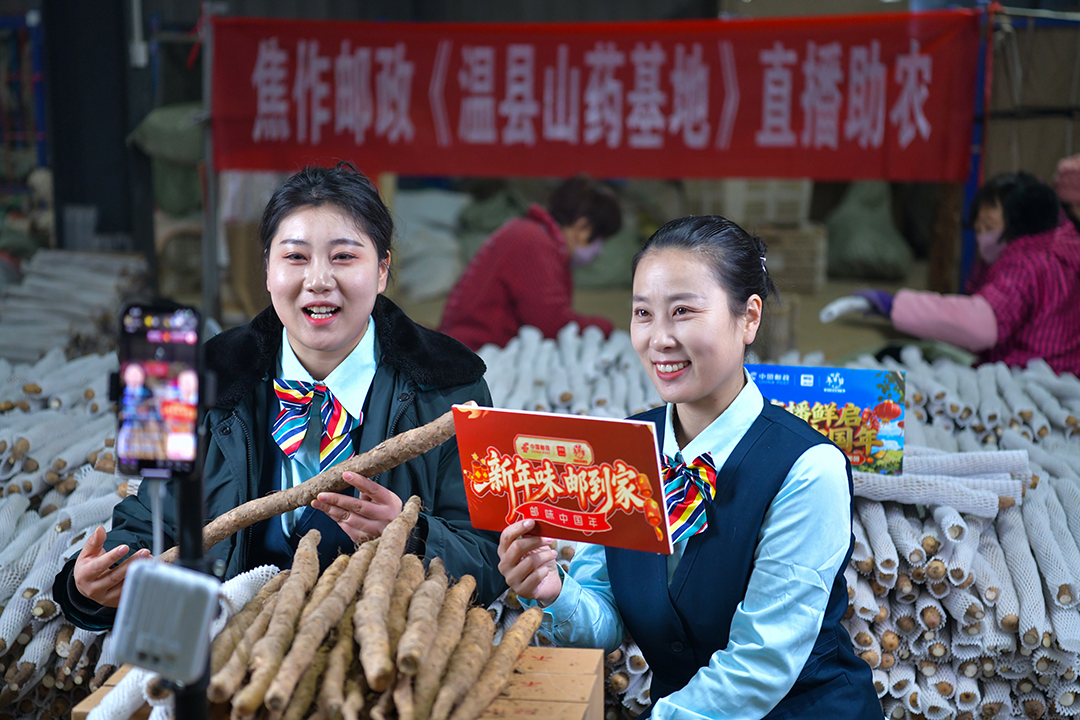 邮政助力，怀山药撬动致富经