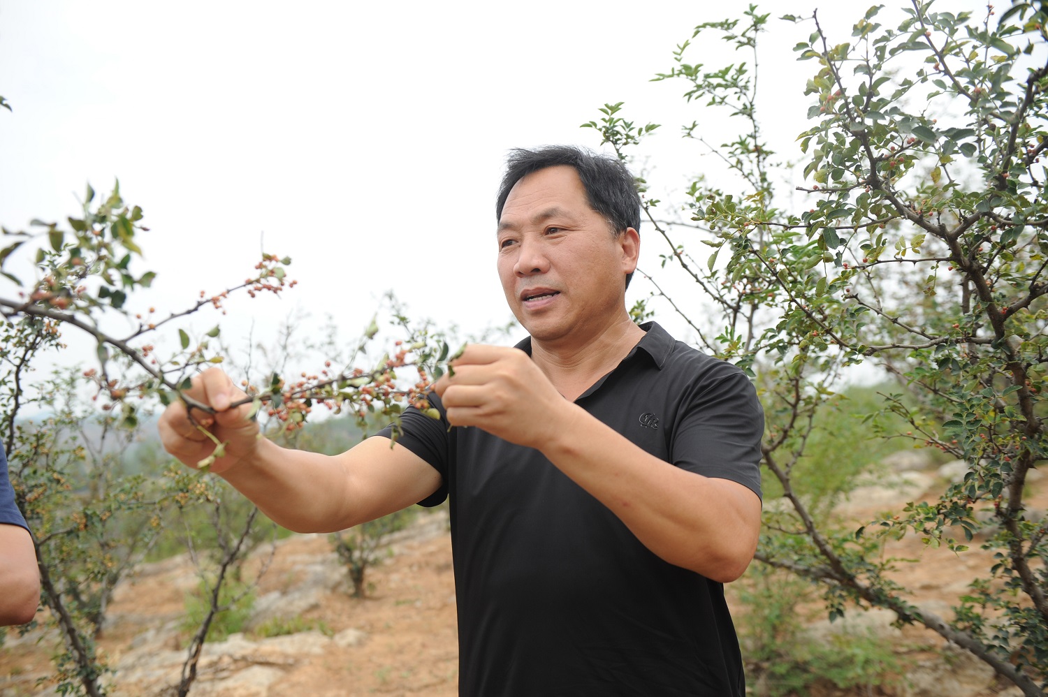 梁建：扎根农林科研一线 匠心赋能特色产业